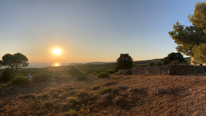 A living-systems lens to lighting design